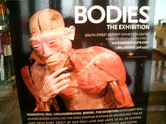 ０６０１１４ BODIES 人体の不思議展